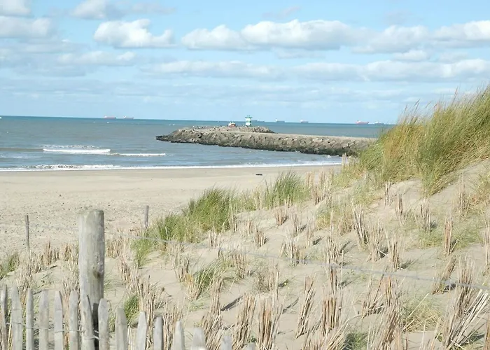 B&B Beach Inn Den Haag